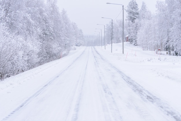 大雪に覆われた道路