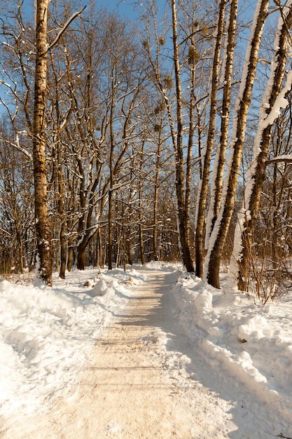 A road covered with snow in winte