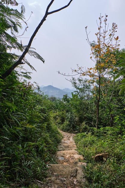 The road descends to a clear sky surrounded by wild grass