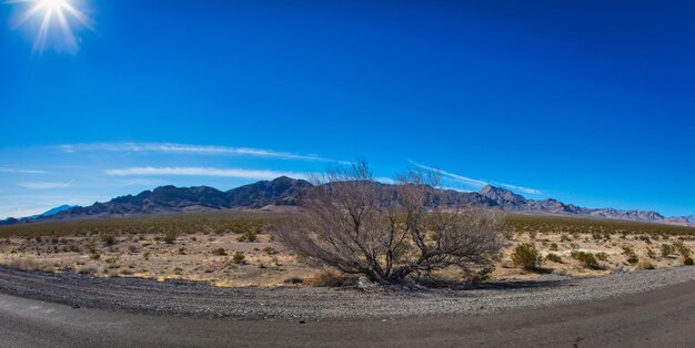 On the road in the desert during the day one sees the dry\
vege