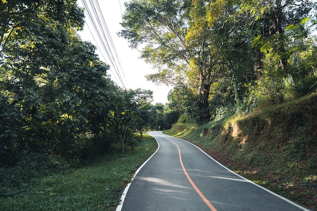 The road to the farmland and fields in the green forest.