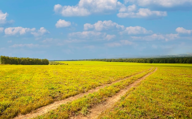 Strada nel campo contro il cielo blu in sumer