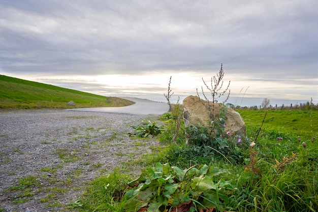 Road in the field landscape photo.