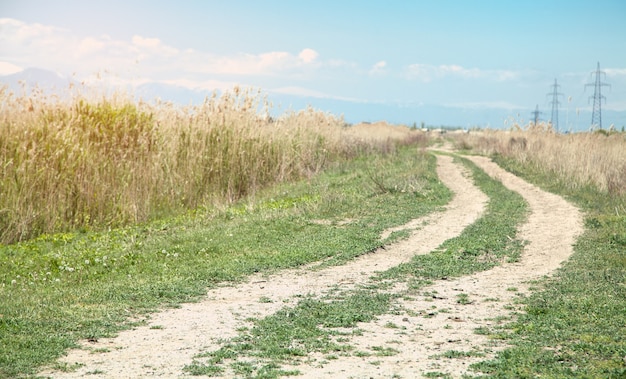 Road in the field. Spring time