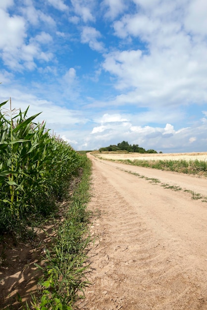 Road in a field