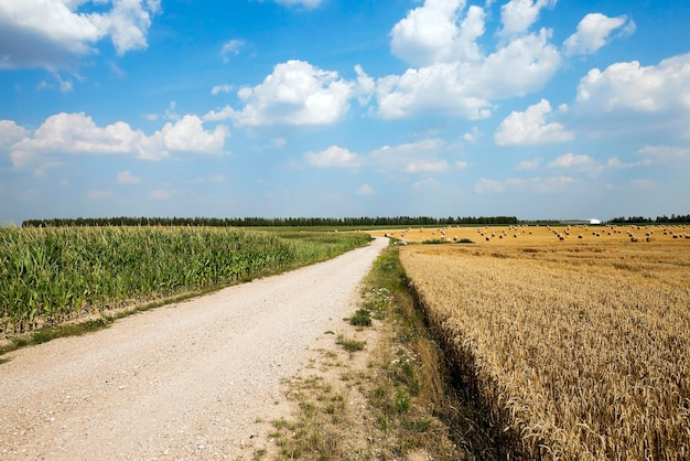 Road in a field