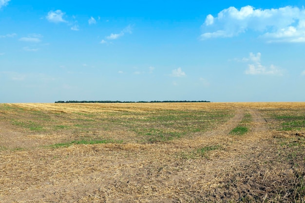 Road in a field