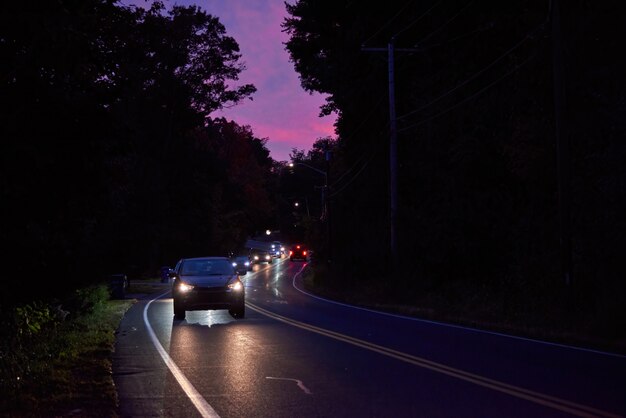 Photo road in a forest in the evening