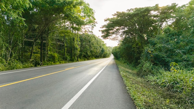 Road in the Forest on top mountain