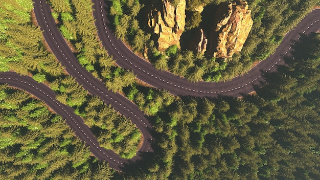 Road among the forest top view comparison of the river arteries