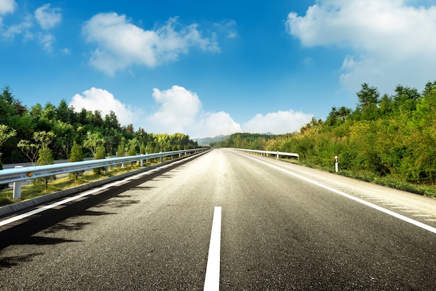 road in forest