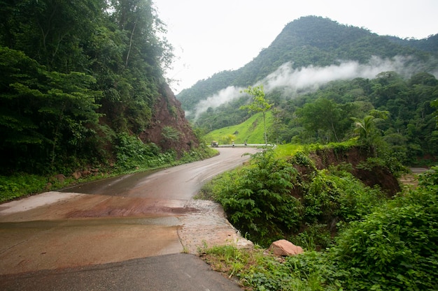 ペルーのジャングルのタラポト市からチャズタ市までの道路 雨のため悪い道路
