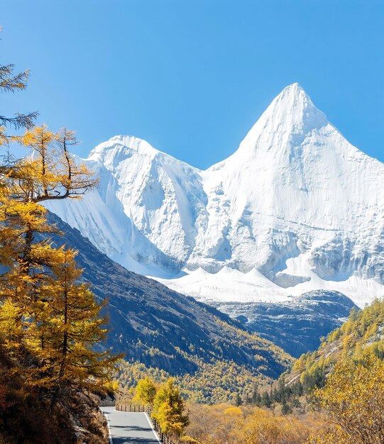 A road in front of a snowy mountain with a blue sky and a white snow covered mountain in the background.