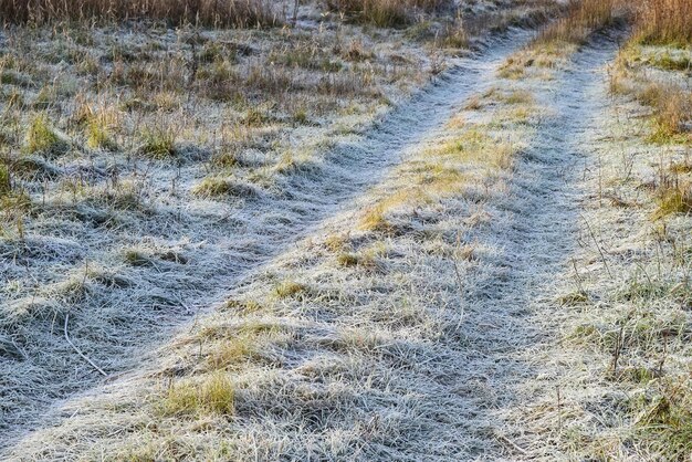 The road to the frosted grass Frost on the road