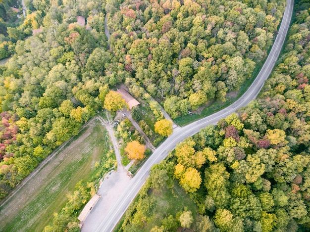 Дорога проходит через лес с осенними красками. Аэрофотоснимок.