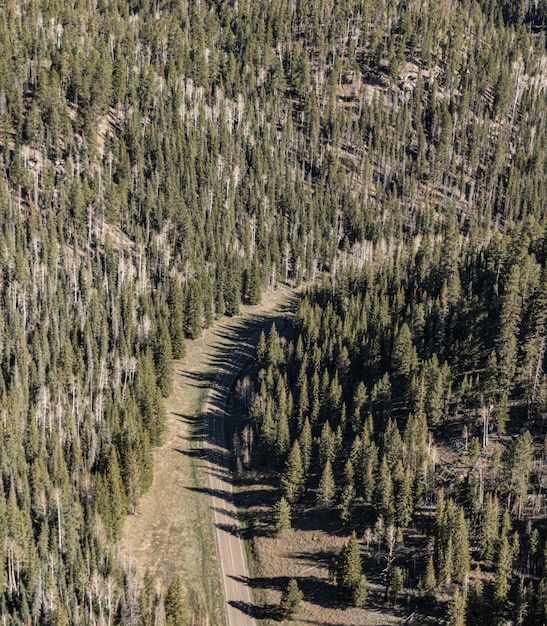 Road at Grand Canyon aerial view