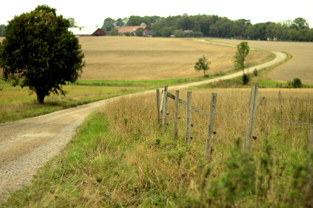 Foto strada su campo erboso