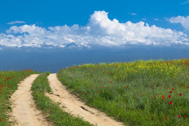 road in a green field and blue sky with white clouds