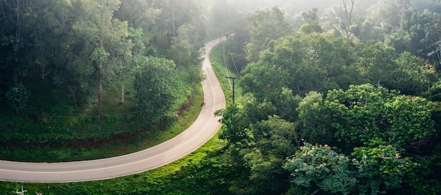Road in the green forest in the morning from above