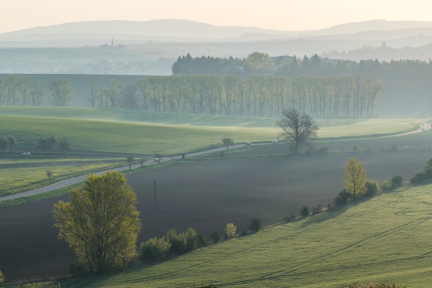 Road among green hills and trees in the morning mist