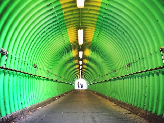 Photo road in green metallic tunnel