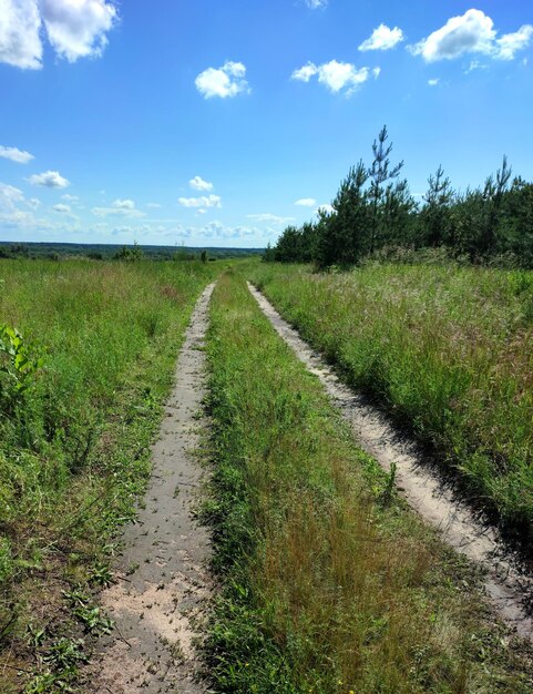 road in the green rural field