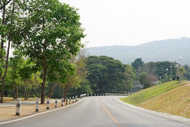 The road has a curved path and green grassy hillsides.