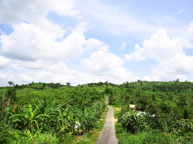 Road in the hills landscape photography