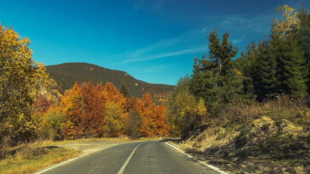 A road in to the hills