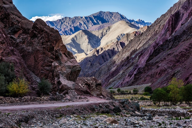 Strada in himalaya con le montagne