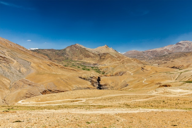 Road in Himalayas