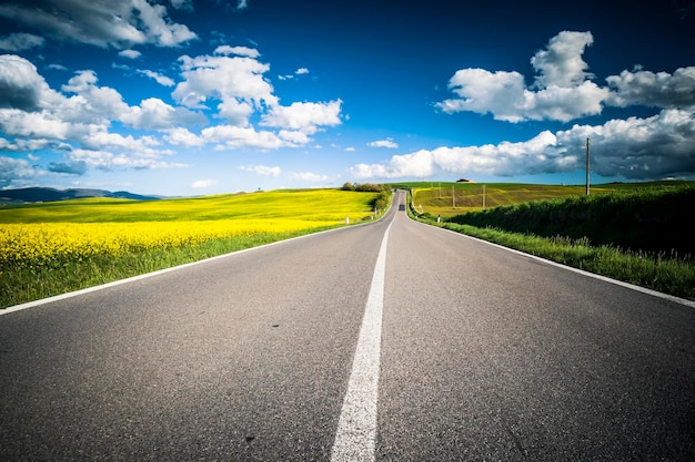 Foto la strada verso la natura selvaggia