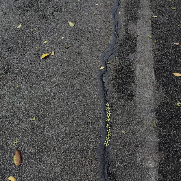 Foto la strada è bagnata e l'acqua è molto bagnata.