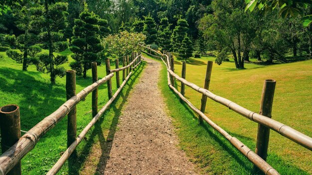 Foto strada nel parco giapponese