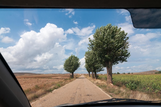 Road landscape with trees from inside the car in rural Spain