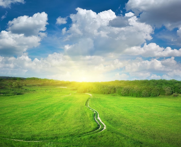 Road lane and deep blue sky Nature design