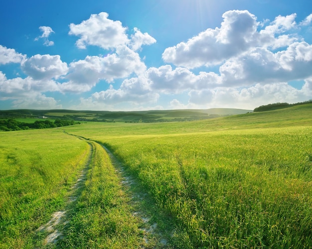 Road lane and deep blue sky Nature design