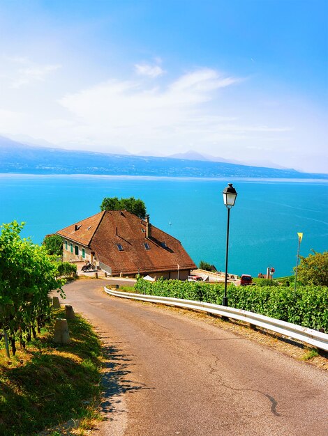 Дорога на пешеходной тропе Lavaux Vineyard Terraces, Женевское озеро и швейцарские горы, район Лаво-Орон, Швейцария