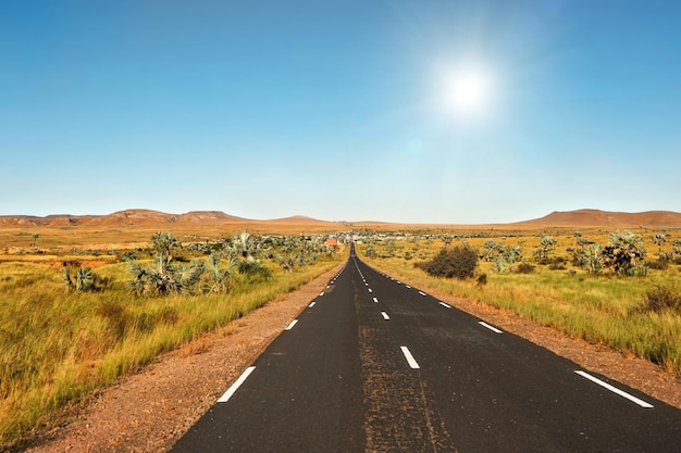 Road leading from Ranohira to town Ilakaka, small bushes and palm trees on sides, hills in distance - typical Madagascar landscape