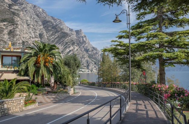 Foto una strada che conduce a una montagna con una palma in primo piano