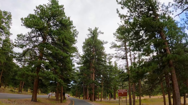 A road leading to the park