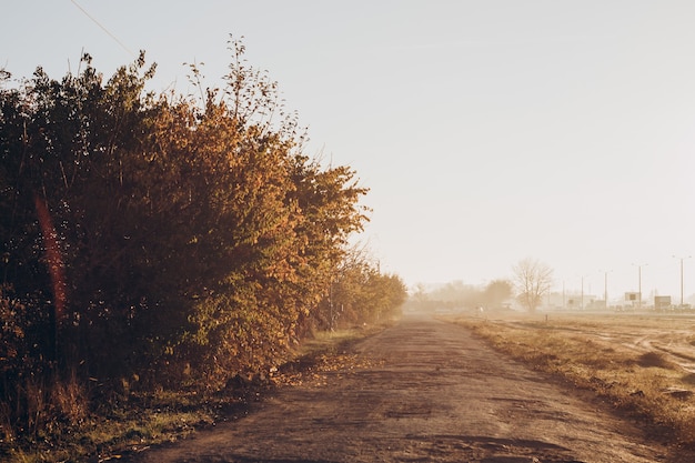 The road leading through the countryside. Early sunny morning. View from the car.