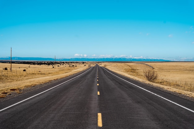 写真 晴れた日に地平線に通じる道