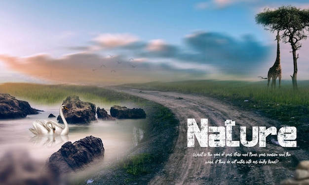 A road leading to a waterfall with the words nature.