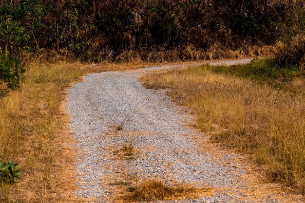 Photo road less traveled background