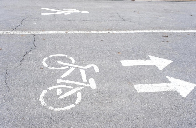 Road markings of a bicycle path in a park on a riding lane A sidewalk for pedestrians and a lane for cyclists Rules of road safety active recreation area