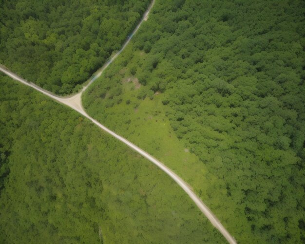 Photo a road in the middle of a forest