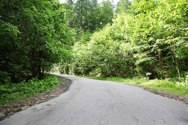 Road in mountain forest