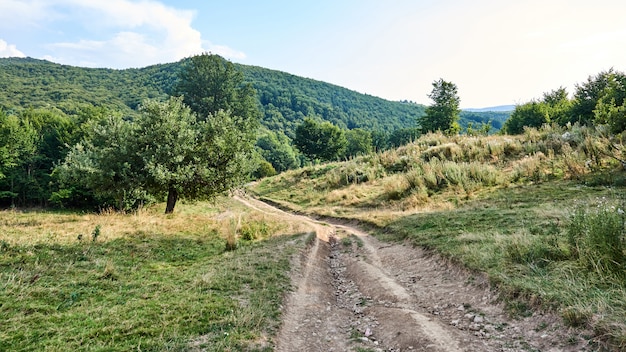 Foto strada nelle montagne della romania