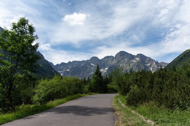 山の中の道。タトラ国立公園、ポーランド。